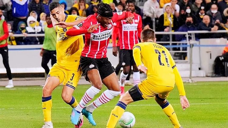 友谊之树 友谊之树