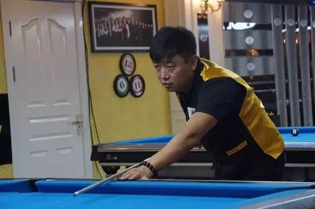 仅展示了杨 仅展示了杨